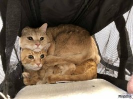 Демотиваторы о любви