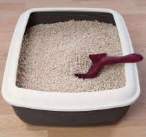 Лоток для кошачьего "крема" ;)