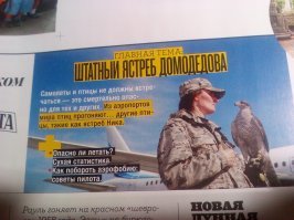 там работают специально обученные хищники, ястребы и тд, которые перед вылетом самолета гоняют всех птиц
есть такая барышня Ника Зубра и ее ястреб Сильва
так что палкой точно не гоняют