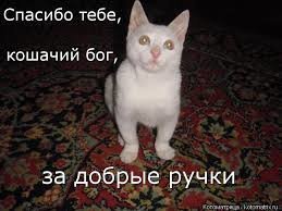 Война касается не только людей!