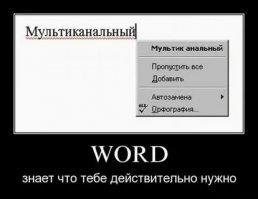 Во времена становления Ворда и "Мультики анальные" показывали: