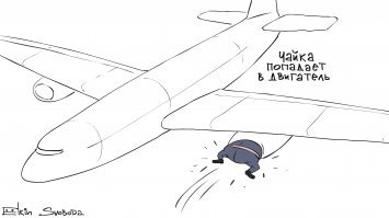 Левая свалка, левый аэропорт. Чайки Нечерноземья