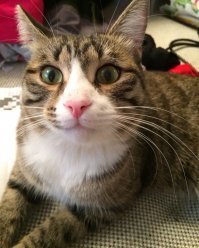 Степан. Мой лучший друг.