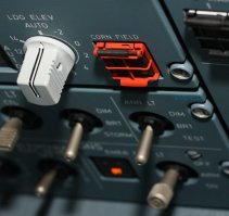 Левая свалка, левый аэропорт. Чайки Нечерноземья