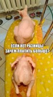 Сколько же этот кошка жрет?
