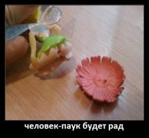 Картинки с надписями