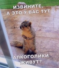 Алкопост на вечер этой пятницы