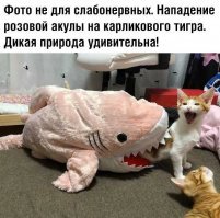 Фотоподборка