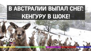 Ну да, так и есть.