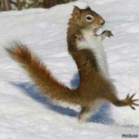 Истории алкоголиков: СамоуПийца