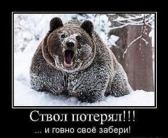 Турист стал свидетелем кровавой схватки гризли со стаей волков