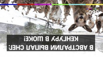 Не благодари