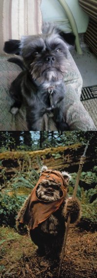 Он у вас в фильмах не снимался?