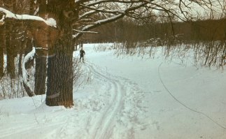Мальчика слева все видят?
