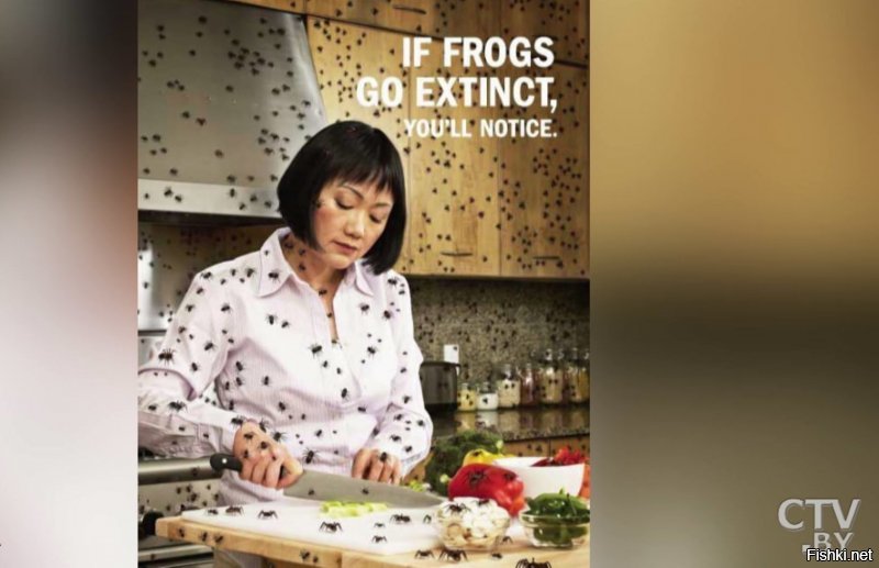 Это австралийский рекламный плакат. Слоган этой картинки: «Вот как будет выглядеть мир без лягушек».