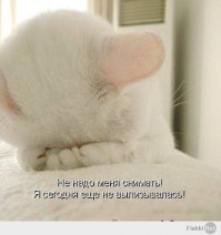 Смешные картинки