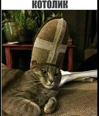 Вот, его котейшество