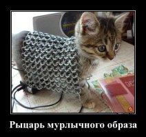 Много кошек не бывает.

В общем, плюсую, конечно.

.