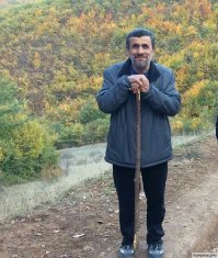 Можно не выращивать капусту, а просто пасти овец :)