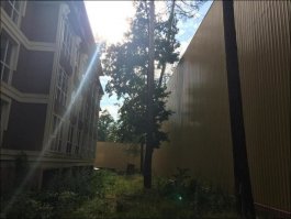 Забор вокруг хатынки директора какого-то киевского заводика. 13 метров высоты. Пожалуй, рекорд на территории бывшего Союза :)