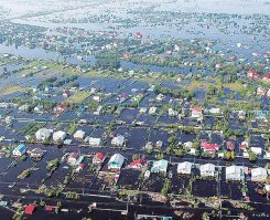 Как собрать дождевую воду на дачном участке
