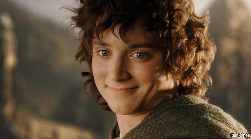вот так Фродо смотрит на твой пост