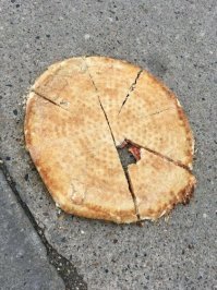 Пицу наверное откусывал,  когда уже на асфальте лежала.