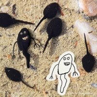 Странно, что еще нет неполиткоректной шутки про афросперматозоиды.