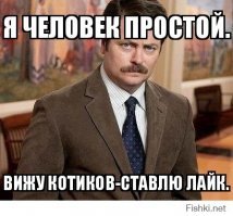 Слепой енот и коты