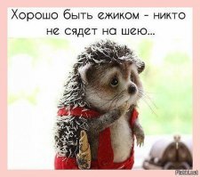 Смешные картинки