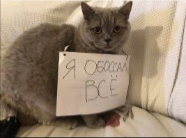 Демотиваторы, от которых у вас улучшится настроение