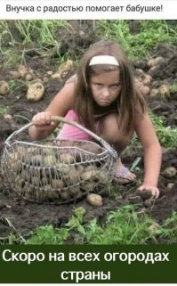 Смешные картинки