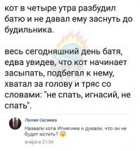 Прикольные и смешные картинки