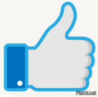 Слепой енот и коты