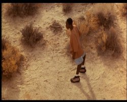 Намешалось