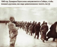 хоть тайгу посмотрят