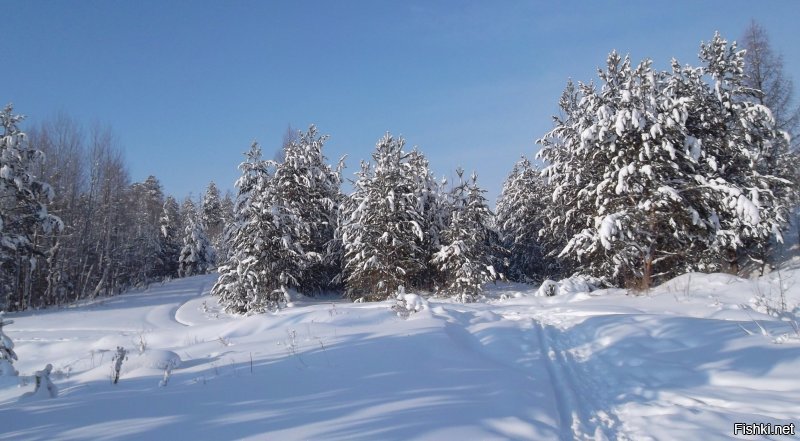 Немного снега для тех, кто любит зиму и изнывает от жары