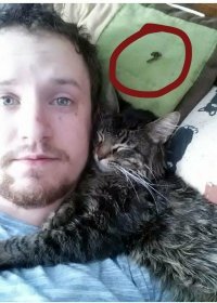 Котик оставил небольшой сувенир товарищу в знак благодарности?