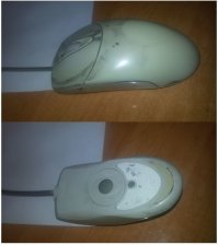 Это разве мышь? Вот старая мышь.
