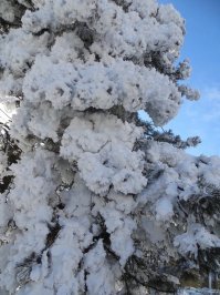 Немного снега для тех, кто любит зиму и изнывает от жары