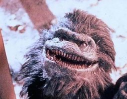 Во на кого похожа.