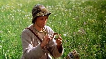 Как собрать дождевую воду на дачном участке