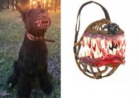 Смешные картинки