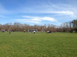 Отвечаю на вопрос насчет футбола... У меня ровная лужайка соток 5, и еще пара соток травы пониже уровнем, остальное в основном лес. Так что для полноценного футбола места не хватит. Трамплин себе поставил, тарелку можно покидать, дрон запустить, но не футбол. Зато в моем городке (5 тыс. населения) два набора футбольных полей, по нескольку в каждом из них. Кто хочет может играть, никаких ограничений (можно зарезервировать заранее чтобы быть уверенным, например для турнира, но в реальности всегда есть свободные поля). Так что никаких проблем для игры в футбол (обычный, не американский). Хорошая трава, плоская поверхность, разметка, ворота. Все для желающих! На фото - именно поля из моего городка. Содержатся за счет моих налогов (как и школы, как и солидная библиотека). Раз в год жители решают - что городку надо (т.е. на что надо увеличить налог, все цифры известны, например: библиотеке нужен ремонт, средняя семья должна будет увеличить налог в следующем году на $15, школе нужна новая ставка учителя, рост налога - $30), а что нет, всеобщим голосованием жителей.

А насчет того что я плачу за Ваши изделия - великолепно, это и есть капитализм в самом чистом виде: одни стараются сделать нужную вещь и на этом заработать, другие ее покупают (только если она качественная, конечно!), система работает - в отличие от социализма, где расчет был на сознательность... Именно об этом я и писал все время. И это куда важнее чем страна проживания. Может, и до Вас дойдет - именно капитализм даже Вам и Вашей семье приносит благосостояние, пропорциональное Вашим талантам и работоспособности (а не знакомствам, не членству в партии и не показной идеологической "правильности"). Делаешь дело - живешь нормально, даже если нет никаких знакомств и т.п.