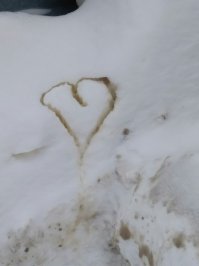 Не перевелись ещё романтики