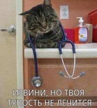 «Быдло и алкашня»: что думают о жителях Тулуна в областной администрации