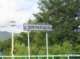 Смешные картинки