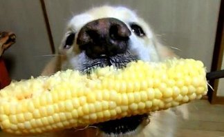 Рыночная экономика Адама Смита