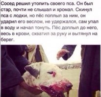 Прикольные и смешные картинки