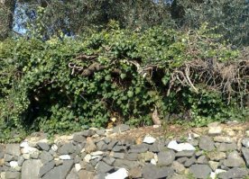 Тут что то не нашел(((